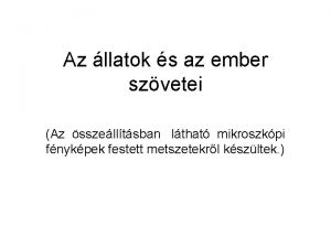 Az llatok s az ember szvetei Az sszelltsban