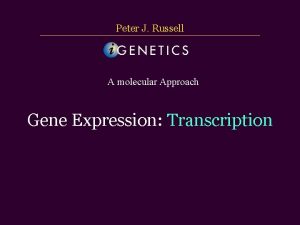 Peter J Russell A molecular Approach Gene Expression