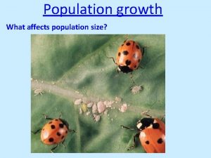 Population growth What affects population size Starting activity