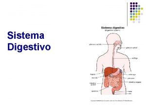 Sistema Digestivo RGANOS DEL SISTEMA DIGESTIVO Se dividen