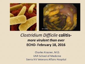 Clostridium Difficile colitismore virulent than ever ECHO February