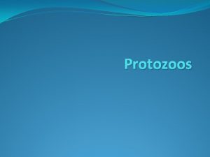 Los protozoarios caracteristicas generales
