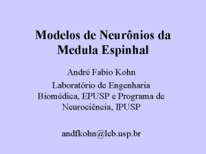 Modelos de Neurnios da Medula Espinhal Andr Fabio