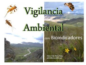 Vigilancia Ambiental con Bioindicadores Diana Tika Flores Rojas