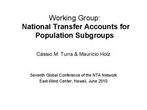 Working Group National Transfer Accounts for Population Subgroups