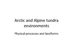 Alpine tundra landforms