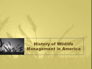 History of Wildlife Management in America Wildlife Management