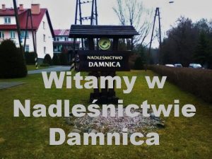 Witamy w Nadlenictwie Damnica Szkoa wrd lasw https