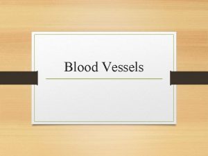 Blood Vessels Types of Blood Vessels Arteries vessels