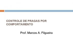 CONTROLE DE PRAGAS POR COMPORTAMENTO Prof Marcos A