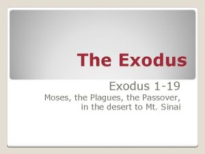 The Exodus 1 19 Moses the Plagues the