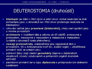 Systm a evoluce bezobratlch 12 cvien J Schenkov