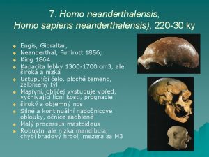 Homo sapiens neanderthalensis