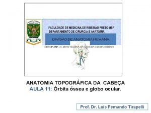 ANATOMIA TOPOGRFICA DA CABEA AULA 11 rbita ssea