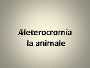 Heterocromie sectoriala