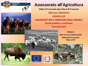 Assessorato allAgricoltura Settore Provinciale Agricoltura di Frosinone PSR