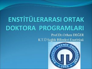 ENSTTLERARASI ORTAK DOKTORA PROGRAMLARI Prof Dr Orhan DEER