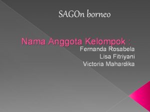 SAGOn borneo Nama Anggota Kelompok Fernanda Rosabela Lisa