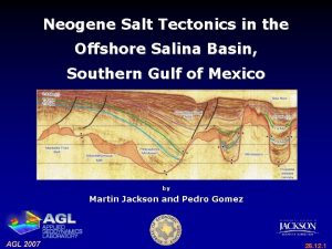 Neogene Salt Tectonics in the Offshore Salina Basin