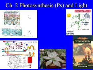 Ch 2 Photosynthesis Ps and Light Fatal Flaws
