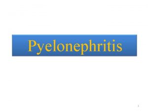 Pathogenesis of chronic pyelonephritis