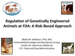 Regulation of Genetically Engineered Animals at FDA A