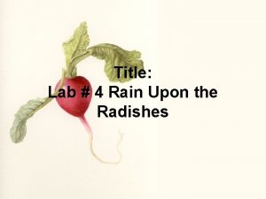 Title Lab 4 Rain Upon the Radishes Introduction