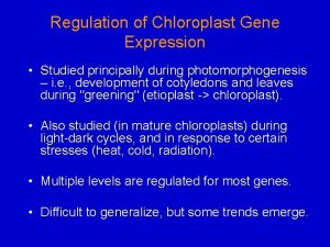 Regulation of Chloroplast Gene Expression Studied principally during