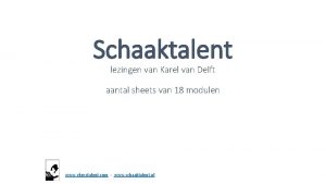 Schaaktalent lezingen van Karel van Delft aantal sheets