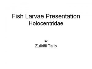 Fish Larvae Presentation Holocentridae by Zulkifli Talib Holocentrus