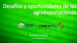 Desafos y oportunidades de las agroexportaciones Gabriel Amaro