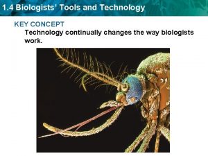 Section 4 biologists tools and technology