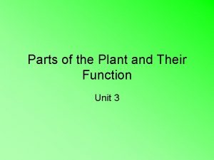 Parts of the Plant and Their Function Unit