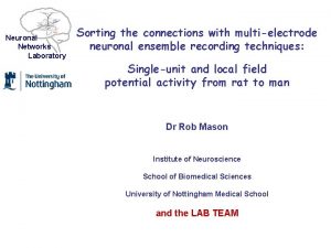 Neuronal Networks Laboratory Sorting the connections with multielectrode