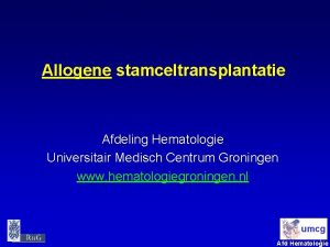 Allogene stamceltransplantatie Afdeling Hematologie Universitair Medisch Centrum Groningen