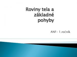 Proximálny a distálny
