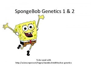 Sponge billy bob