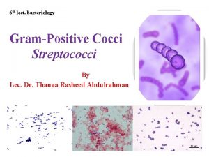 6 th lect bacteriology GramPositive Cocci Streptococci By