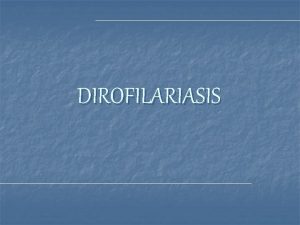 DIROFILARIASIS DEFINICIN Dirofilaria immitis Corazn y Arteria Pulmonar