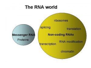 The RNA world ribosomes splicing Messenger RNA translation