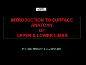 Surface anatomy lower limb