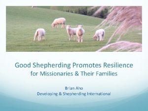Good Shepherding Promotes Resilience for Missionaries Their Families
