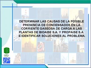 DETERMINAR LAS CAUSAS DE LA POSIBLE PRESENCIA DE