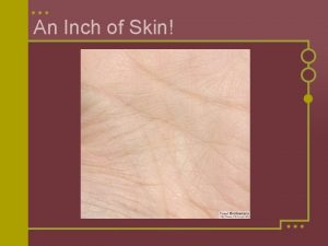 An Inch of Skin In each square inch