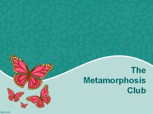 The Metamorphosis Club Metamorphosis Club 500 000 999