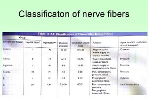 Neuron fibers