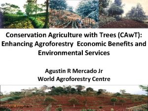 Conservation Agriculture with Trees CAw T Enhancing Agroforestry