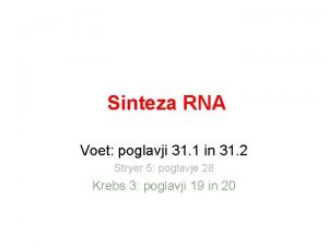 Sinteza rna