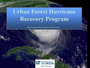 Urban Forest Hurricane Recovery Program http treesandhurricanes ifas