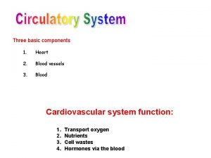 Grade 9 circulatory system parts and functions